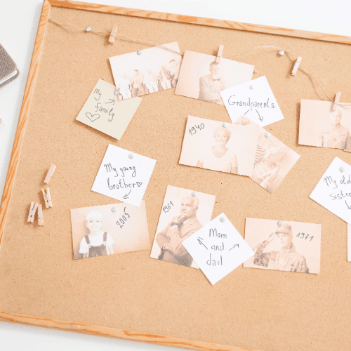 Family photographs pinned to a board like a family tree