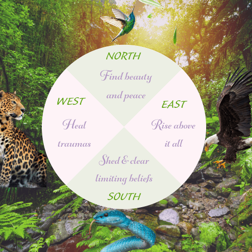 Core Curriculum Medicine Wheel
